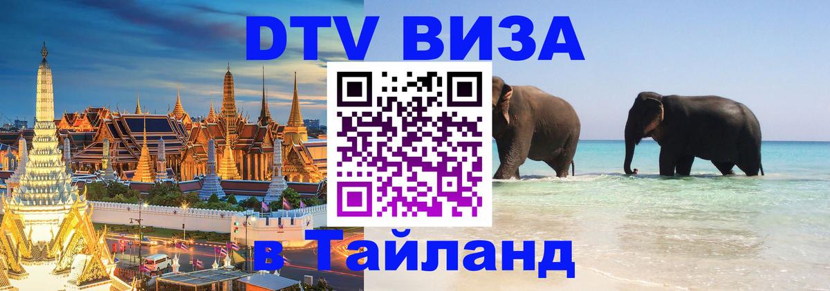 Оформление DTV визы под ключ: стоимость и тарифы, только загранпаспорт - Михайловск  21.11.2025 